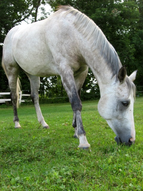 Luna - Photo : Bebelle<3