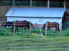 Entreposage du foin et enclos de chevaux - Photo : Jenny Gallant