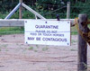 Enclos des chevaux blessés - Photo : Jenny Gallant