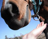 Photo fournie par l'auteure