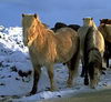 L'hiver dehors!