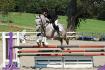 Robinson 2, training avec mon petit cheval et...
