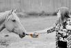 Money , une bouteille de whiskey et Sophie