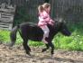 Ma fille de 5ans et son shetland Minus de 3ans, ces le grand...