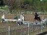 Jeux équestres Caballista à Bromont.