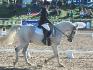 Joli cheval en dressage hier à Bromont!