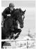 Un cavalier et un cheval déterminés et concentrés...