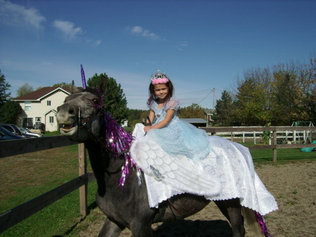 Jument. Une jument qui joue bien son rôle de licorne!!
