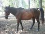 jAck EnCore Mais MainteAnt yest 2X plus Gros :) 