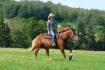 un p'tit galop dans le champ, on se sent vraiment...