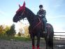 Mon amoureux qui monte &agrave; cheval :) On a pris Lady...