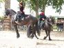 Spectacle des Crins de soie CHEVAUX ; Marylou et...