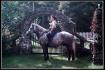 Une ancienne photo de moi et Silver :)