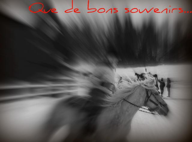 Que de bons souvenirs...quand je commencais l'équitation avec le...