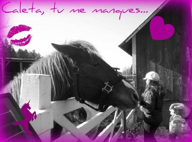 Caleta tu me manque ma chouette!