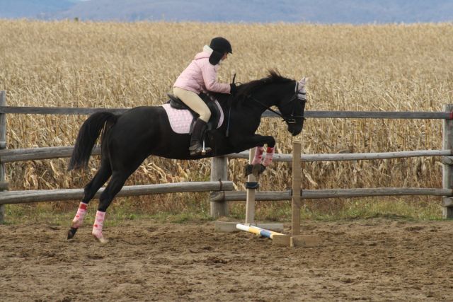 Barre. Nos débuts a L'obstacle! Elle est contente de s'y mettre...elle...