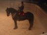 Encore Medieval Times
