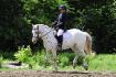 galop sur une patte x) (L)