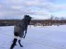 youhou! Toute heureuse dans la neige
