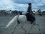 moi et un peoney a mon pere B.F. COMING UP ROSE a...