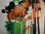 Dirlande en concours 