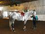 Monn beau gros loup (L)