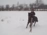 Galop ds un virage