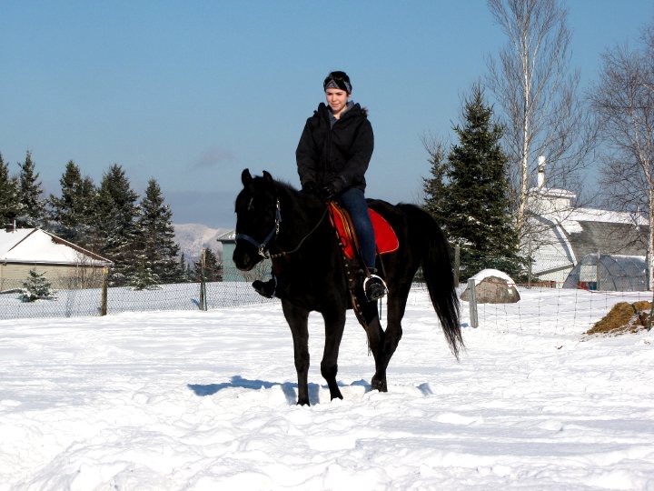 Hall-Atal... C'est tellement un ange, ce petit cheval ! (L)