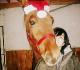 Mon gros cheval de noel!  (L)
