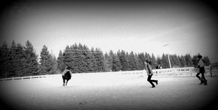 moi et laurence qui pousse baby boy a faire un petit saut :p