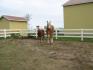 Mon ti-cul avec la grosse Cathy lol !