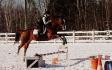 moi et mon cheval :) voter si aimer ! :)...