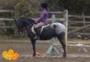 Ma ponette préférée! :P Petite appaloosa très bonne et allumée!...