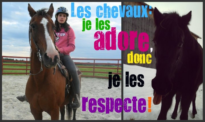 Si vous penser comme moi, voter ! Rien de mieux que de favoriser...
