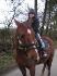 moi sur mon premier cheval que j'avais en demi...