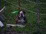 Alvin le chien le plus tannant du monde!