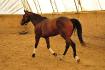 Raoul :)