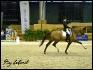 Le Dressage du salon du cheval de Paris 2010