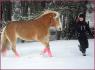 Stick to me, galop ! ca a pris du temps mais elle...