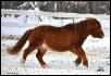 Athos!