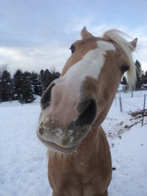 Ma Belle d'amour qui donne un bisou à l'appareil photo! <3<3