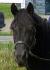ma belle pitoune!
