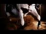Mon cheval qui stope
