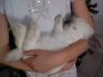 ma soeur et Neige