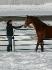 Moi et mon cheval Jazz