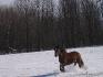 Kigalie qui voyait deux de mes amis passer à cheval et voulait...