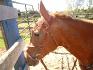 MouMou :)