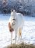 neige