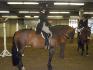 Royal Agricultural Winter Fair 2011