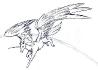 pegasus, projet jamais terminé